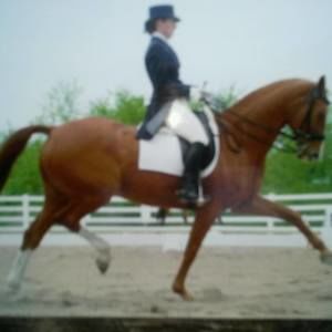 Meet your Posher, Debbie